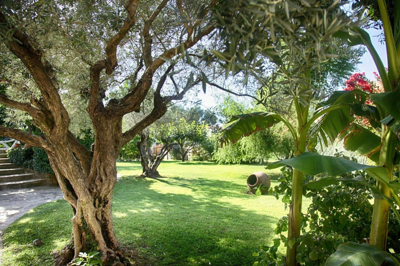 カルパントラ Bastide Sainte Agnes Bed & Breakfast エクステリア 写真