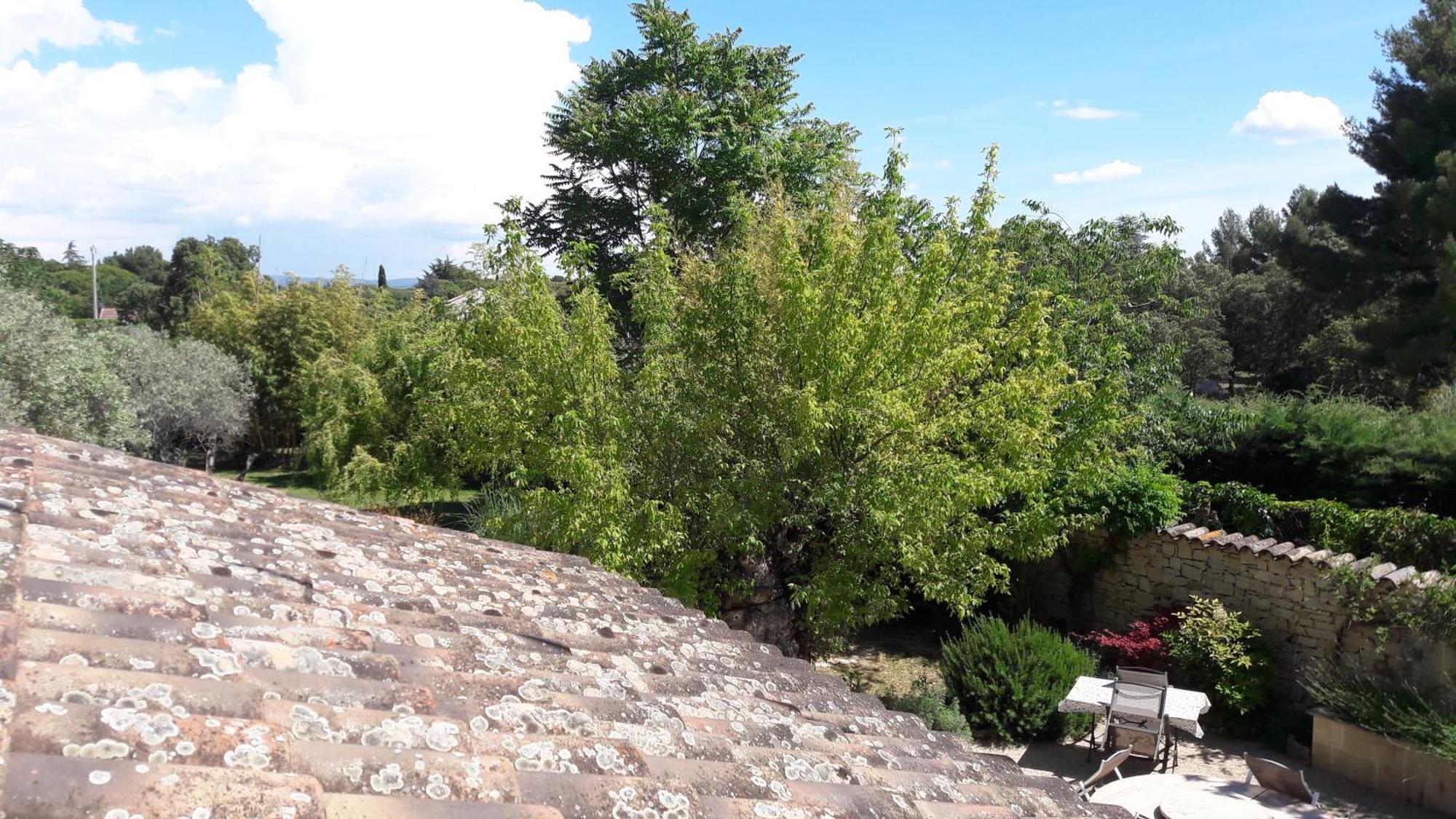 カルパントラ Bastide Sainte Agnes Bed & Breakfast エクステリア 写真